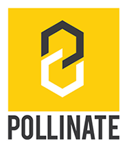 Pollinate Art Festival